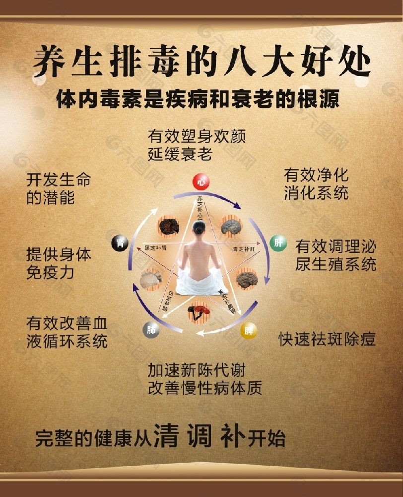 1. 排毒散茶 2. 排毒丸 配方，当天见效 排除体内垃圾毒素